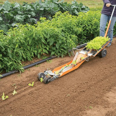 Terrateck PL4Transplanter unit