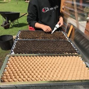 Nursery Seeding Systems