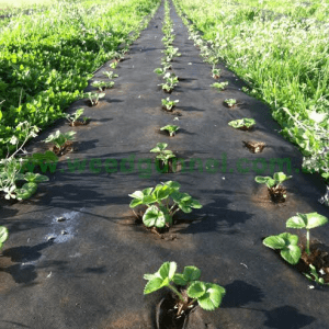 Mulch & Landscape Fabric