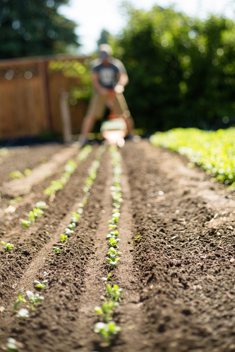 Paperpot Transplanter | Complete Package