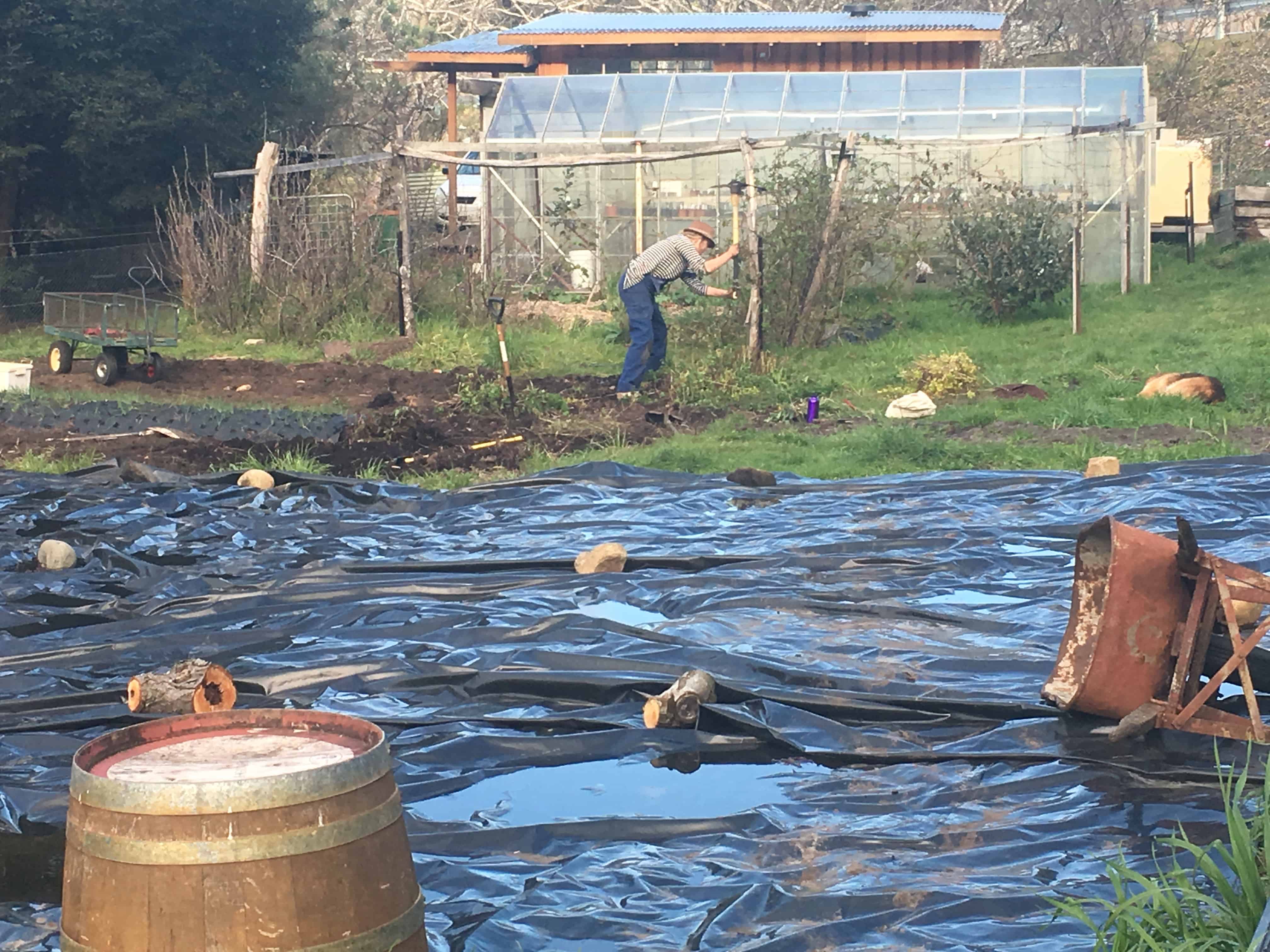 Silage Tarp 50m Roll | 12m, 15m, 18m Dia.