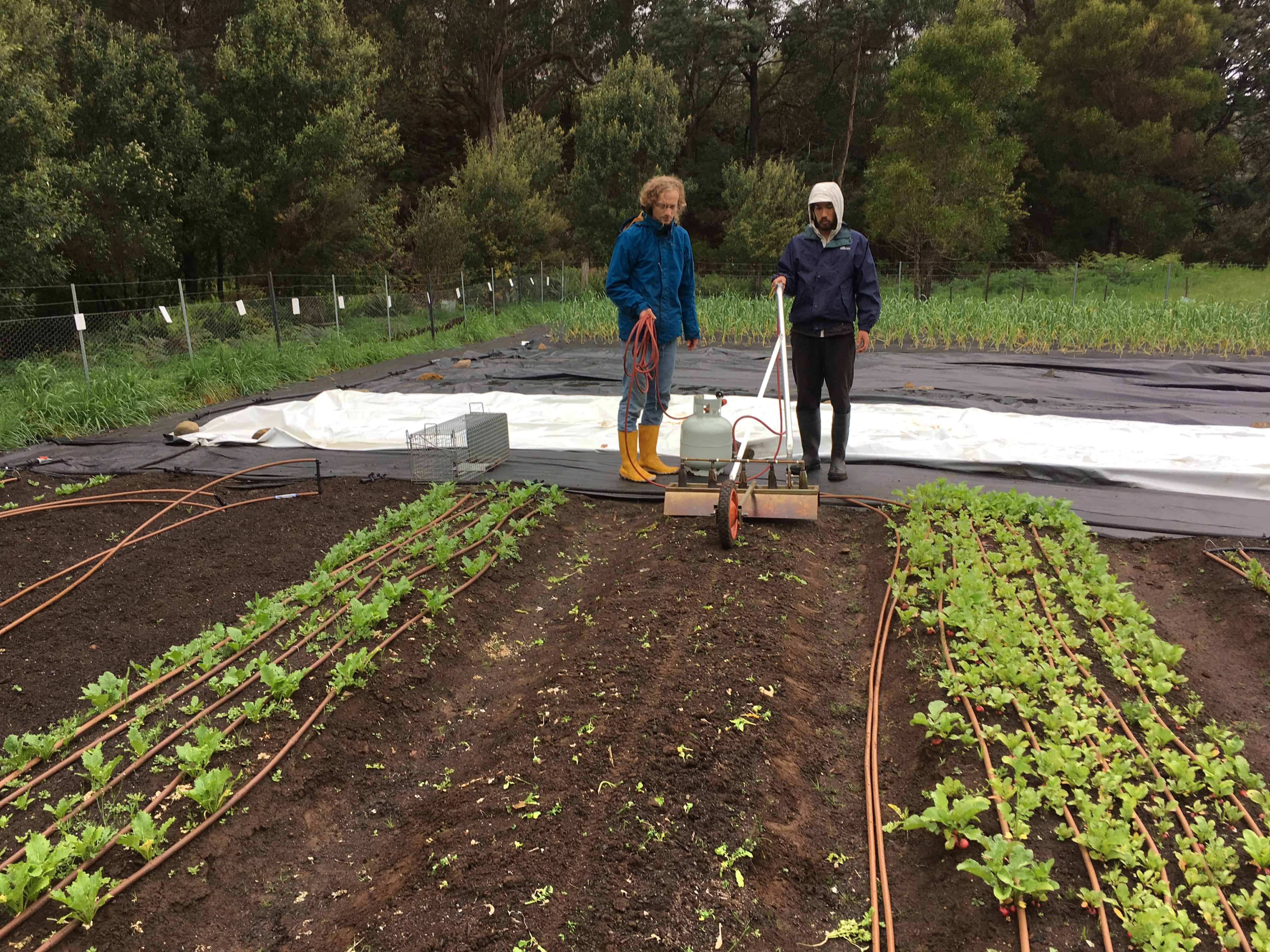 Silage Tarp 50m Roll | 12m, 15m, 18m Dia.