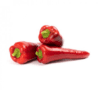 balcanica-f1-sweet-bullhorn-capsicum-seed