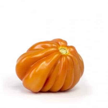 Rugantino | F1 Ox-heart Tomato Seed