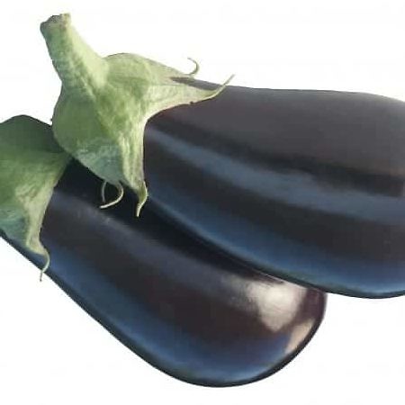 Monarca | F1 Large Eggplant