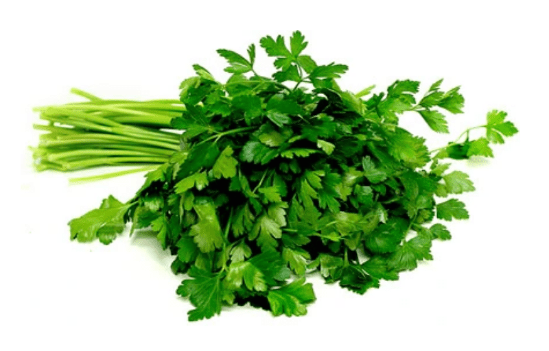 grande-italian-flatleaf-parsley-seed