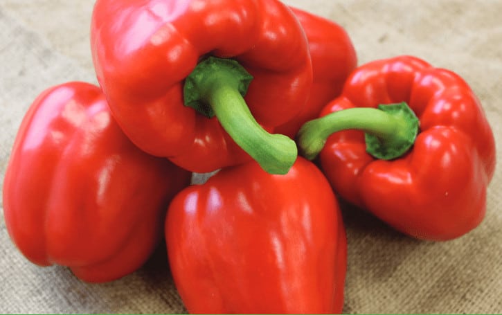 maduro-f1-primed-capsicum-seed