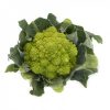 puntoverde-rz-f1-romanesco-cauliflower-seed