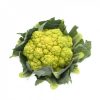 vitaverde-rz-f1-cauliflower-seed