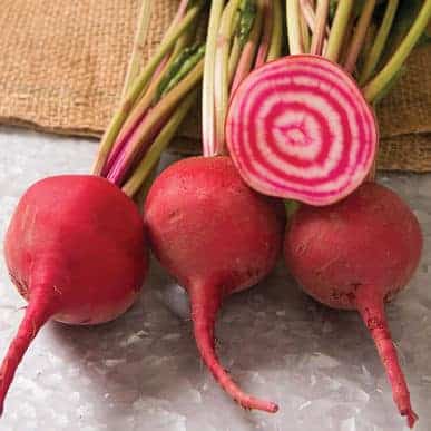 chioggia-guardsmark-beet-seed