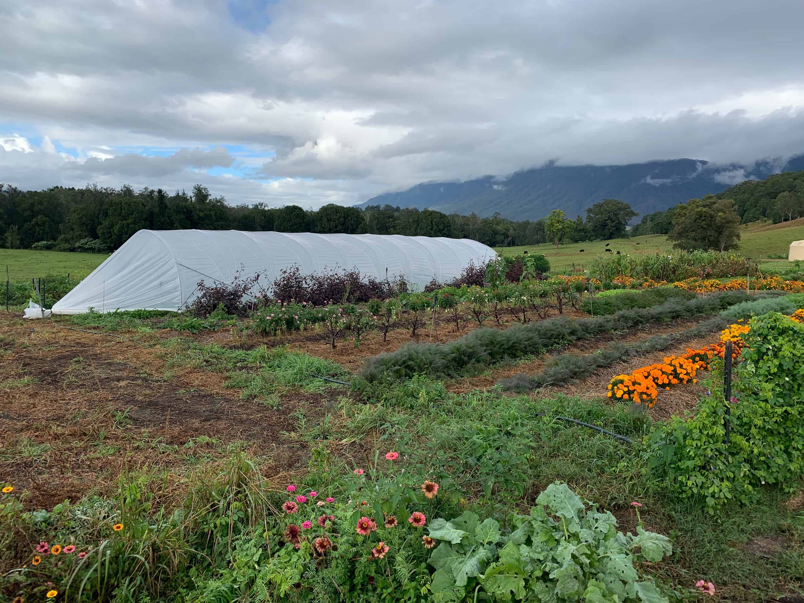 Greenhouse & Crop Covers