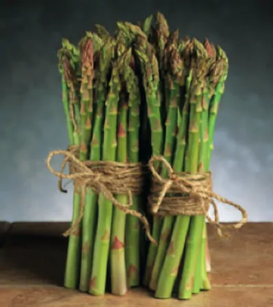 uc-157-f1-green-asparagus-seed