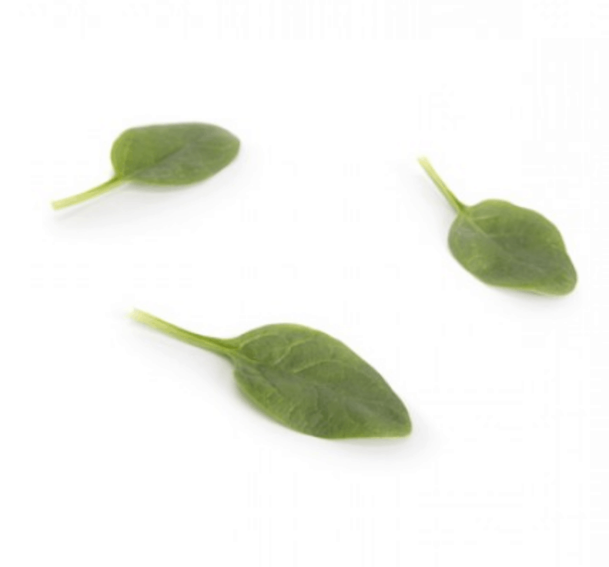 parakeet-rz-f1-warm-season-spinach-seed