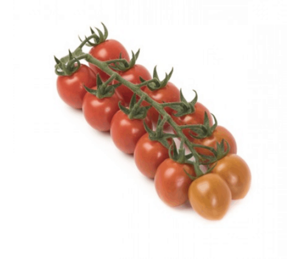 sugarino-rz-f1-mini-roma-tomato-seed