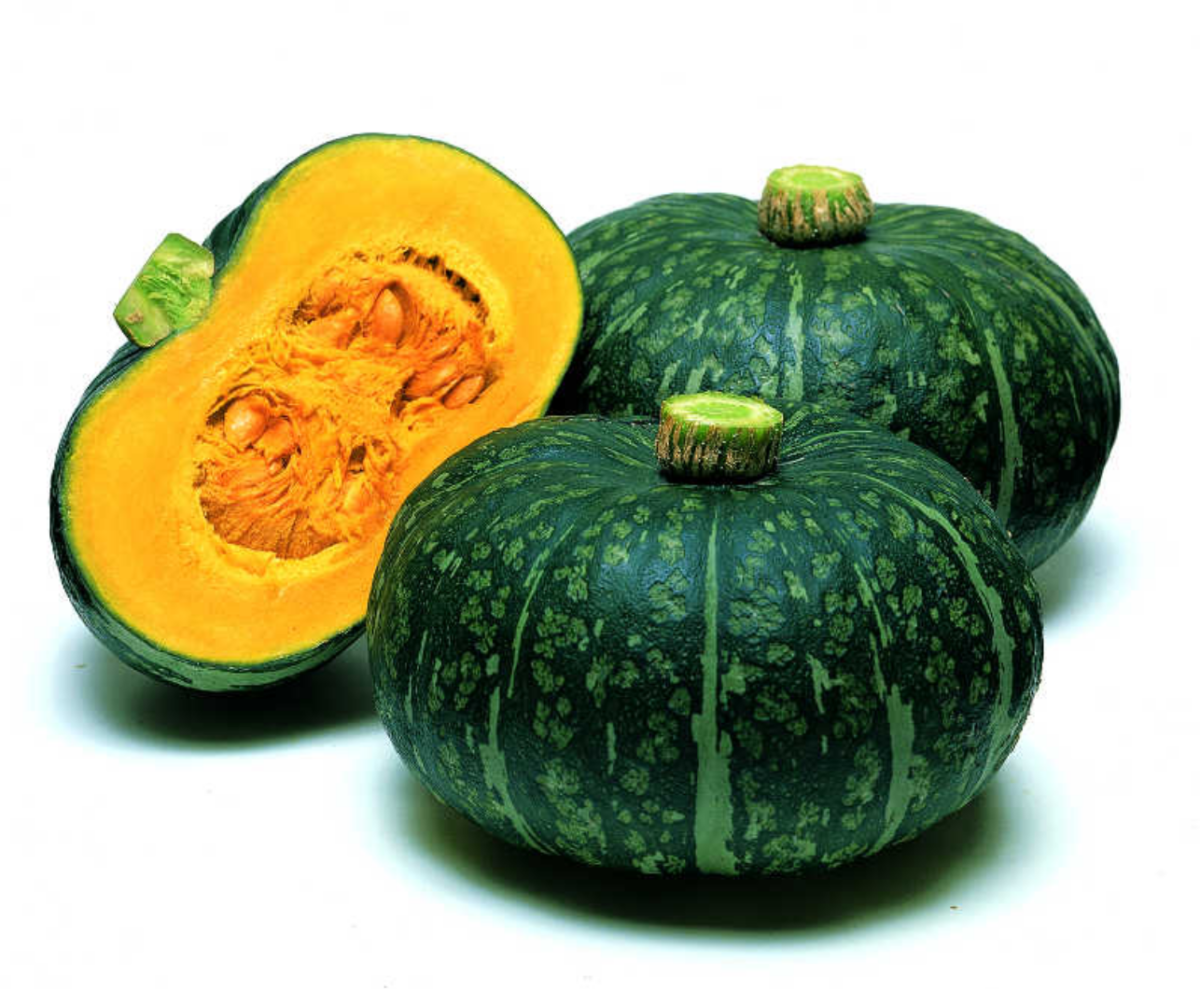 delica-f1-kabocha-squash-seed-1