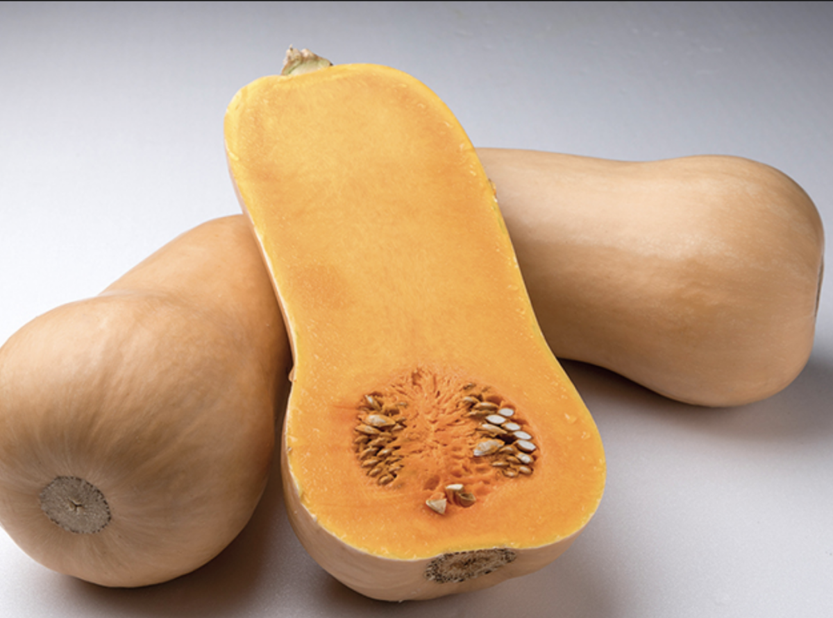 havana-f1-butternut-pumpkin-seed