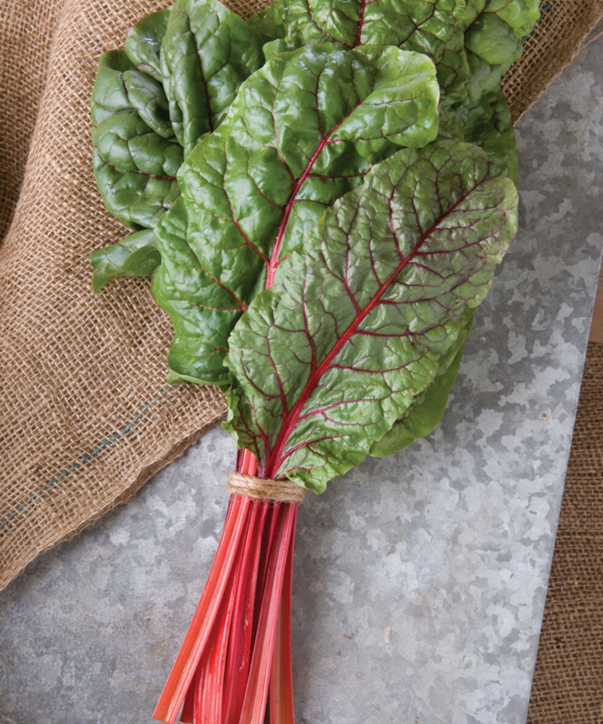 ruby-red-organic-swiss-chard-seed