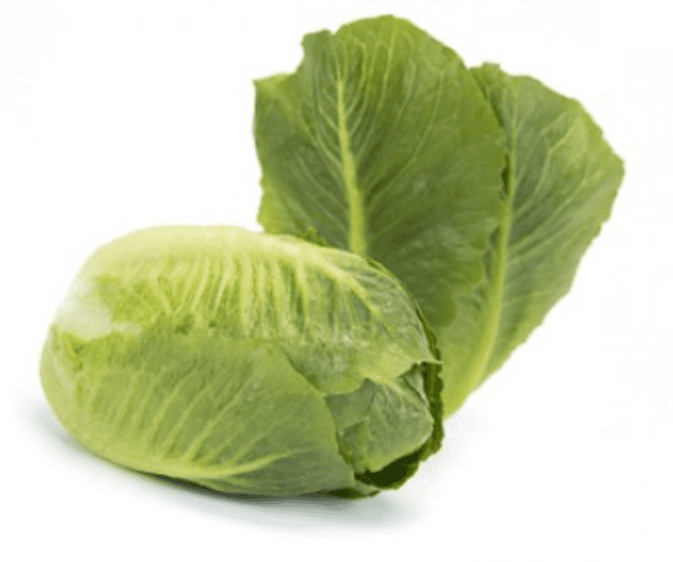 tendita-rz-primed-baby-crunchy-cos-seed