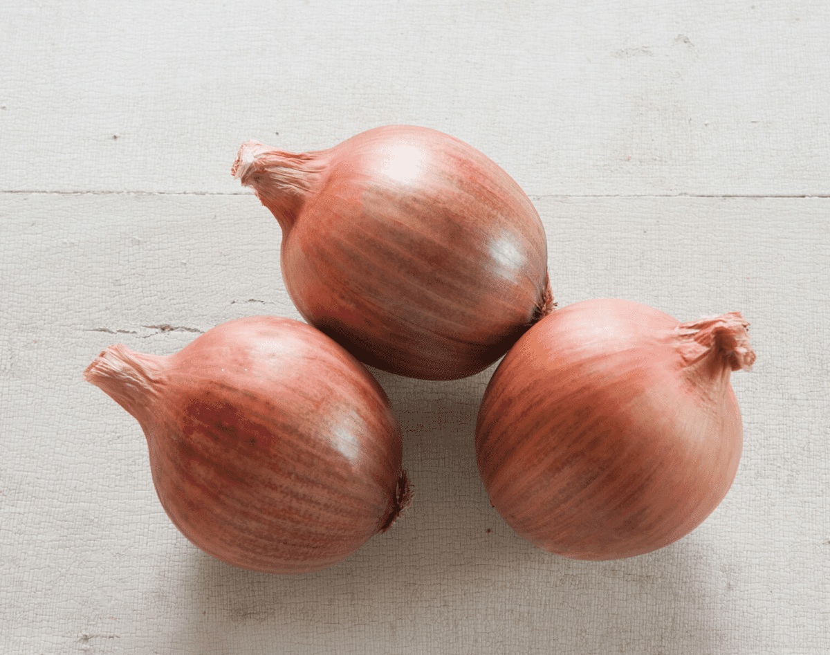 blush-f1-onion-seed