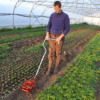 Wheel Weeder | Single