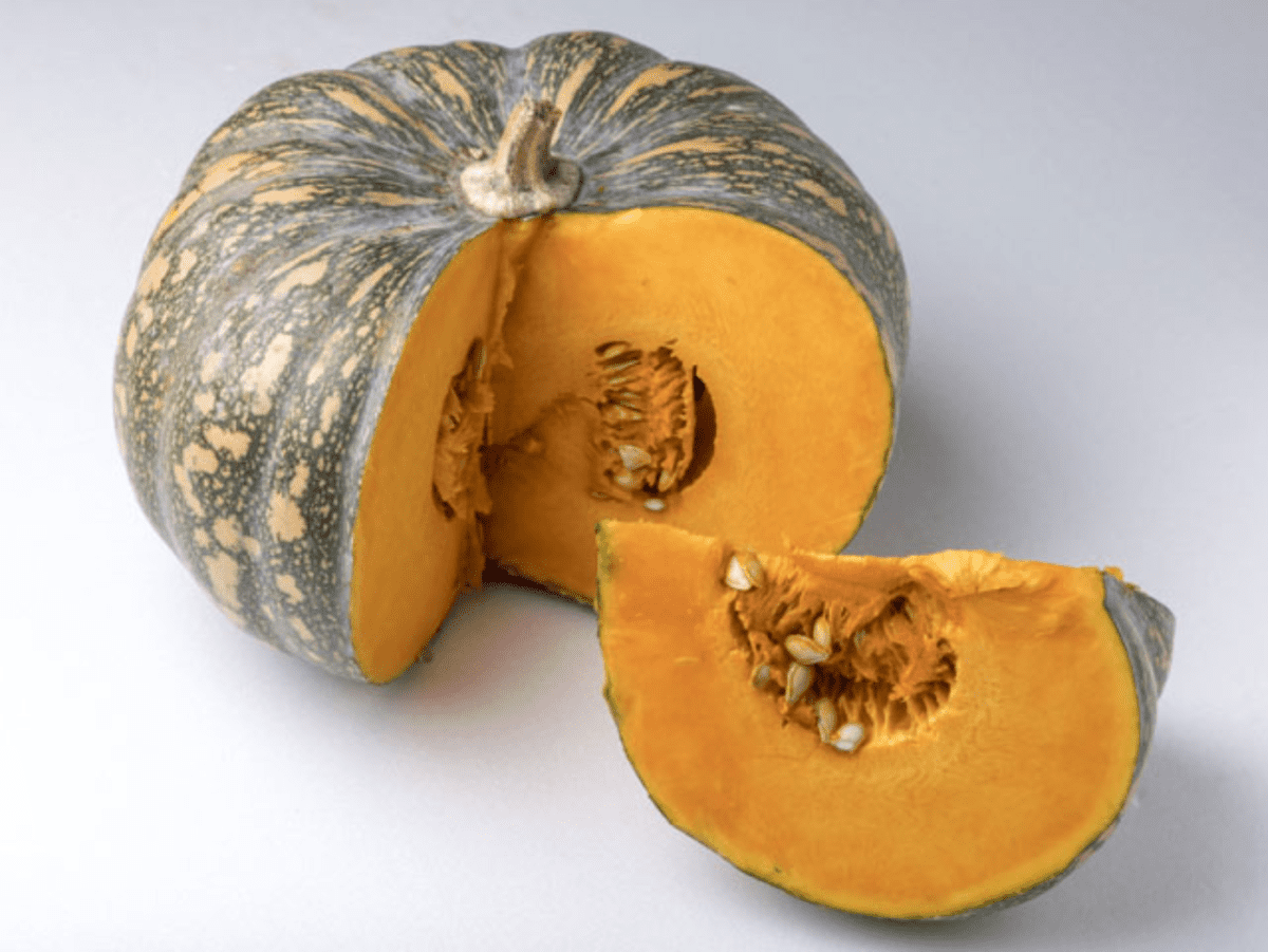 ringer-f1-kent-pumpkin-seed