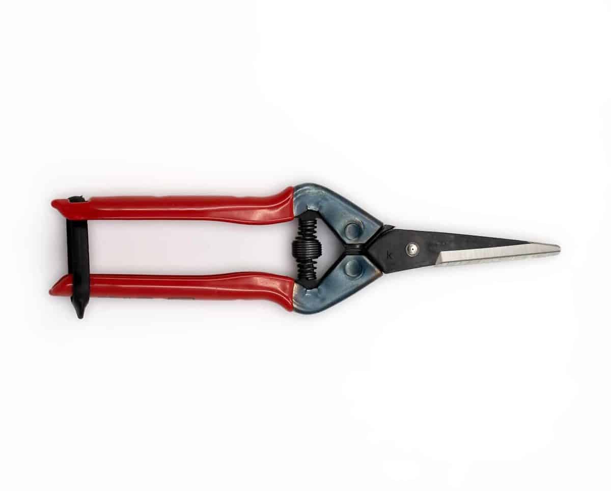 Chikamasu Long Tomato Snips