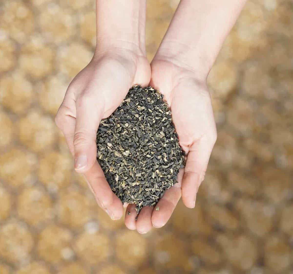 Dried Kelp Blend | Soil, Compost and Feed Supplement