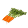 ymer-rz-f1-table-carrot-seed