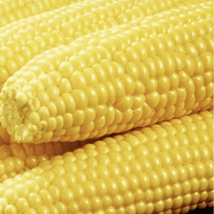 broadway-f1-sweetcorn-seed