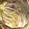 Variagata di Chioggia SB | Pelleted Organic Radicchio Seed