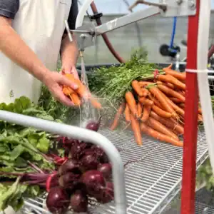 Neversink_Bunch_Washer_W_Pedal